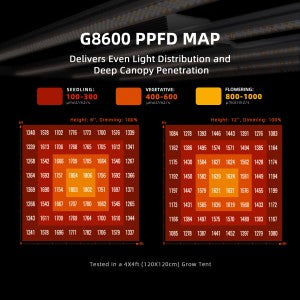 Spider Farmer® Automatisiertes Growbox-Komplettset – 150×150×200 cm für 9 Pflanzen | G8600 800W Vollspektrum-LED-Pflanzenlampe | 6″ Clip-Ventilator | 6″ Belüftungssystem mit GGS-Klimacontroller | Bluetooth- & WLAN-App-Steuerung |