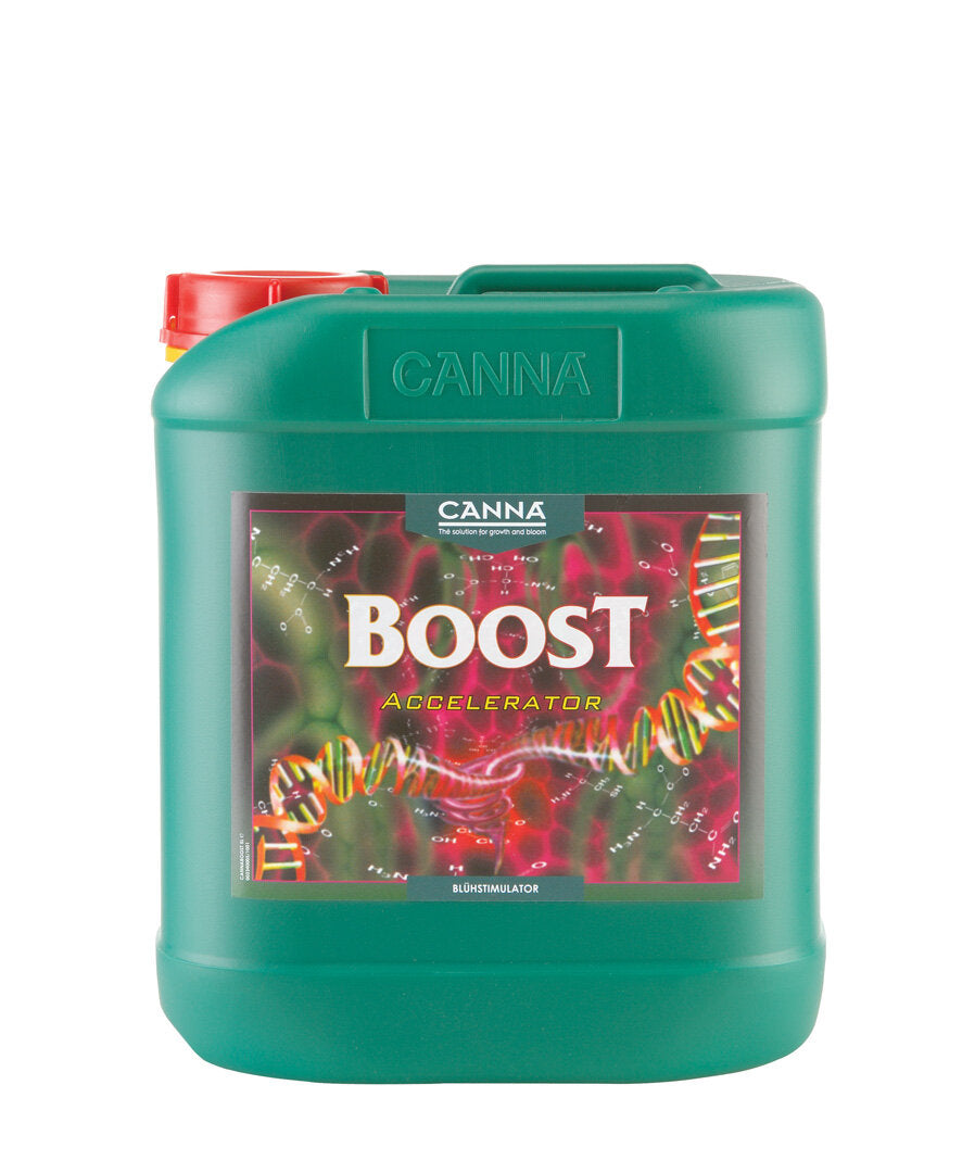 CANNA BOOST Accelerator