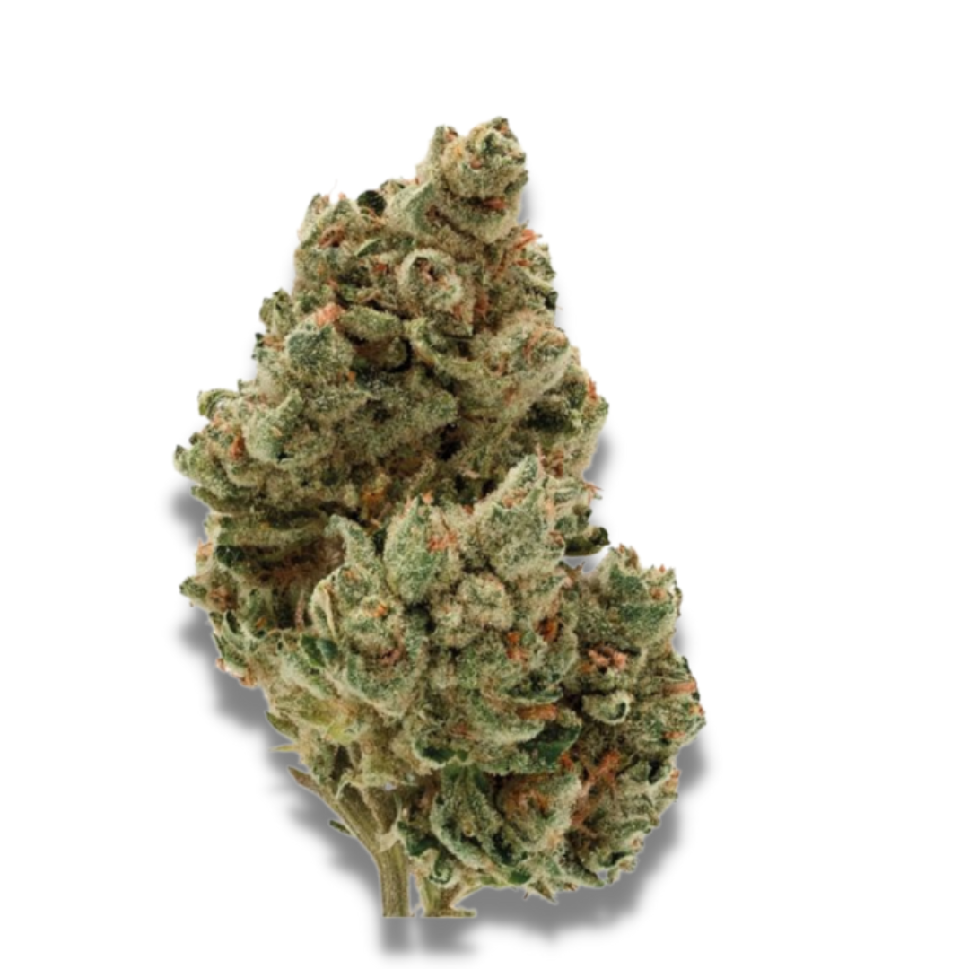 Frosty Gelato