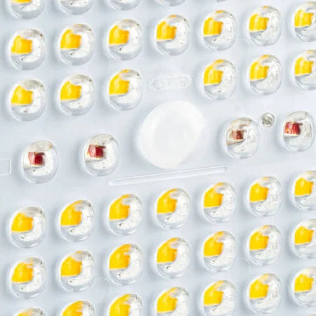 Sanlight LED