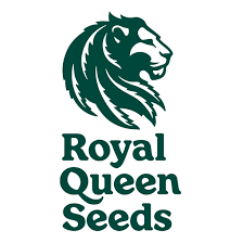Royal Queen Seeds