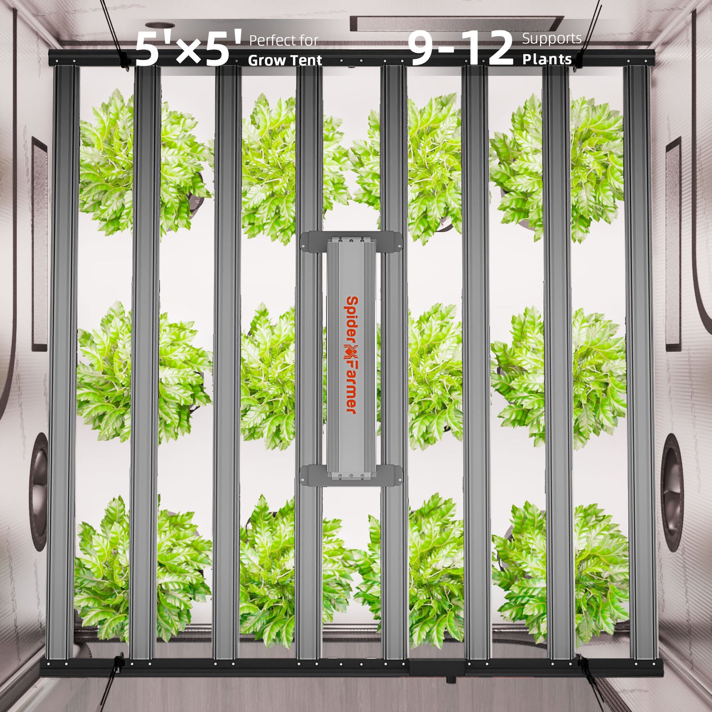 Spider Farmer® Automatisiertes Growbox-Komplettset – 150×150×200 cm für 9 Pflanzen | G1000W Vollspektrum-LED-Pflanzenlampe | 6″ Clip-Ventilator | 6″ Belüftungssystem mit GGS-Klimacontroller | Bluetooth- & WLAN-App-Steuerung
