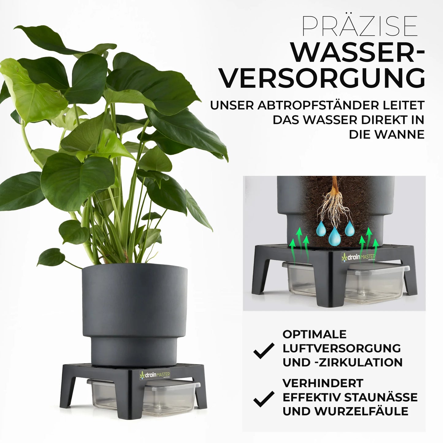 DrainMaster 6er Set
