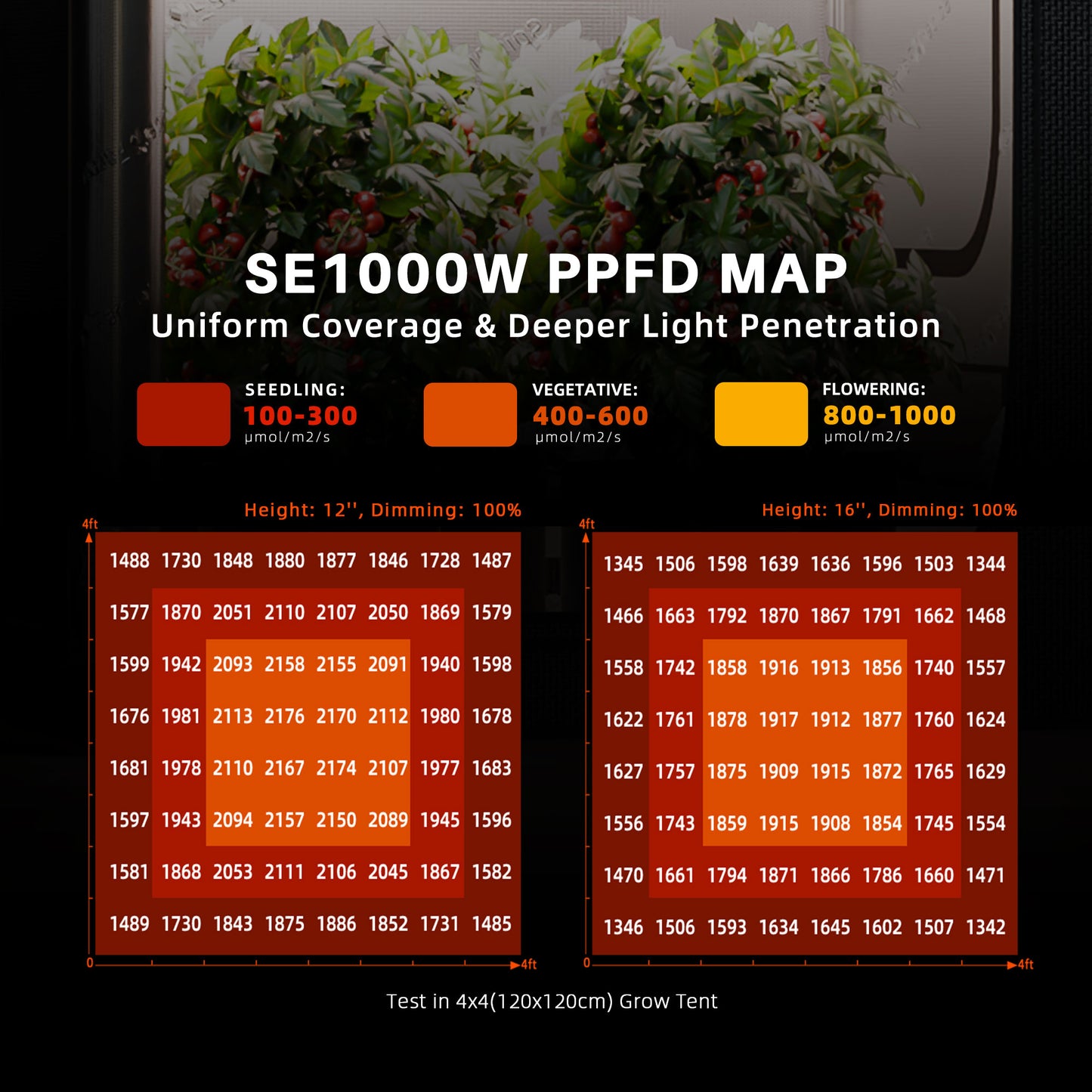Spider Farmer 150x150cm Komplettes Growzelt-Set | SE1000W LED-Pflanzenlampe | 6-Zoll-Inline-Ventilator mit GGS-Controller-Kits