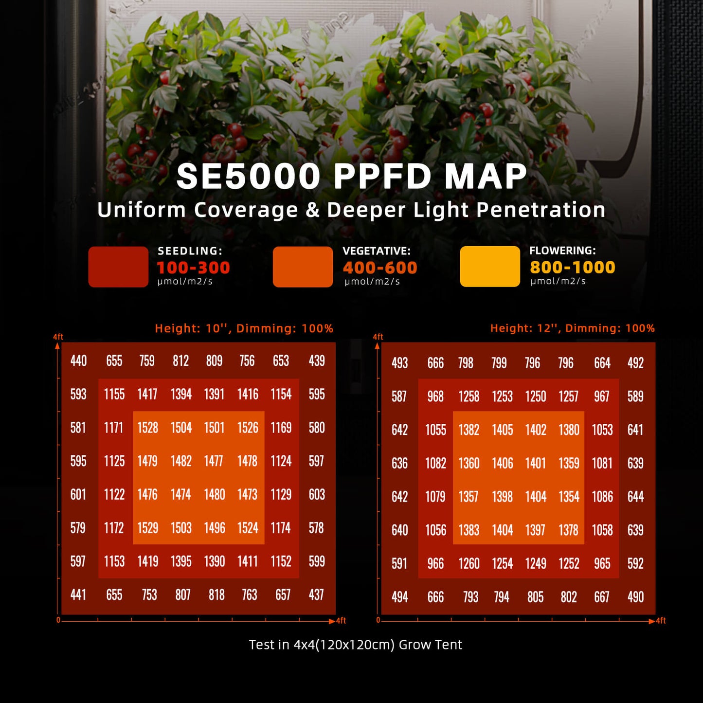 Spider Farmer 120x120x200cm Komplettes Growzelt-Set | SE5000 EVO 480W LED-Pflanzenlampe | Neues 6"-Belüftungssystem mit GGS-Controller