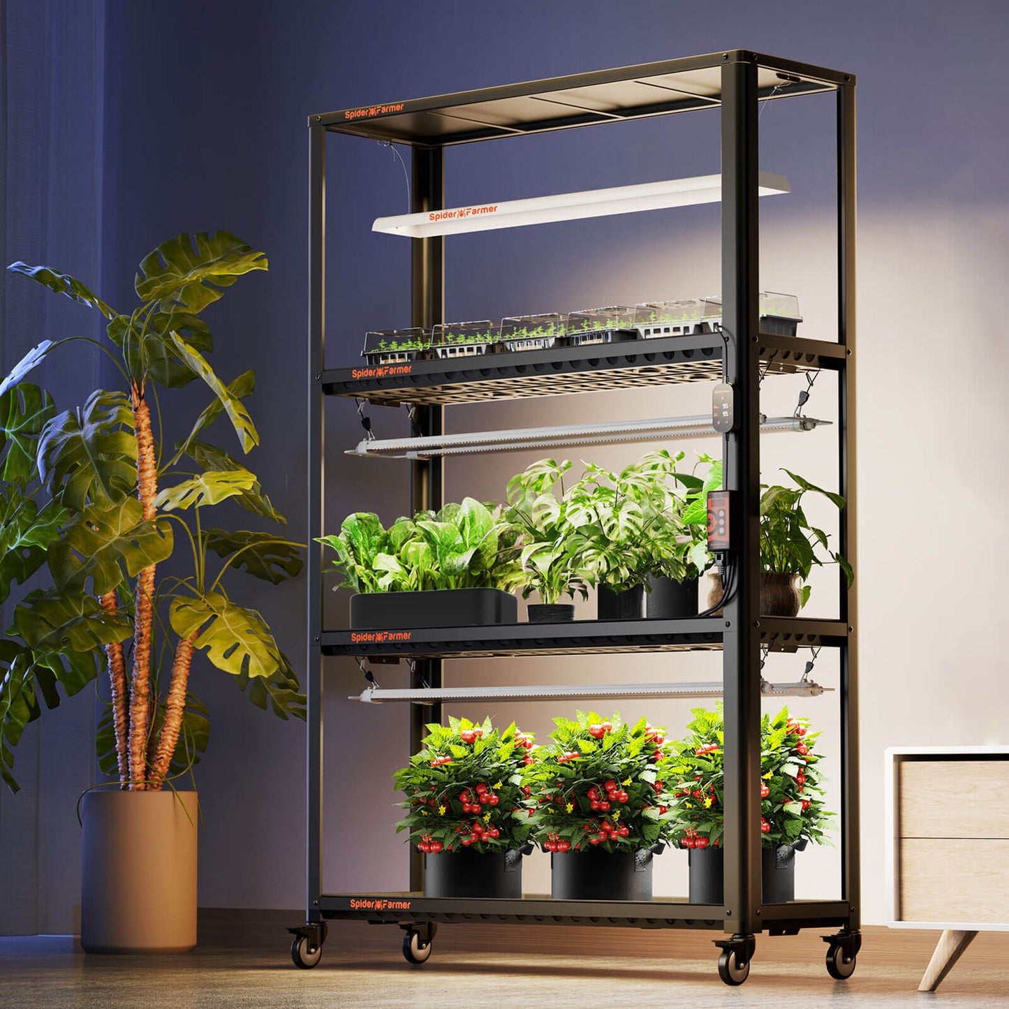 SF600 Growshelves