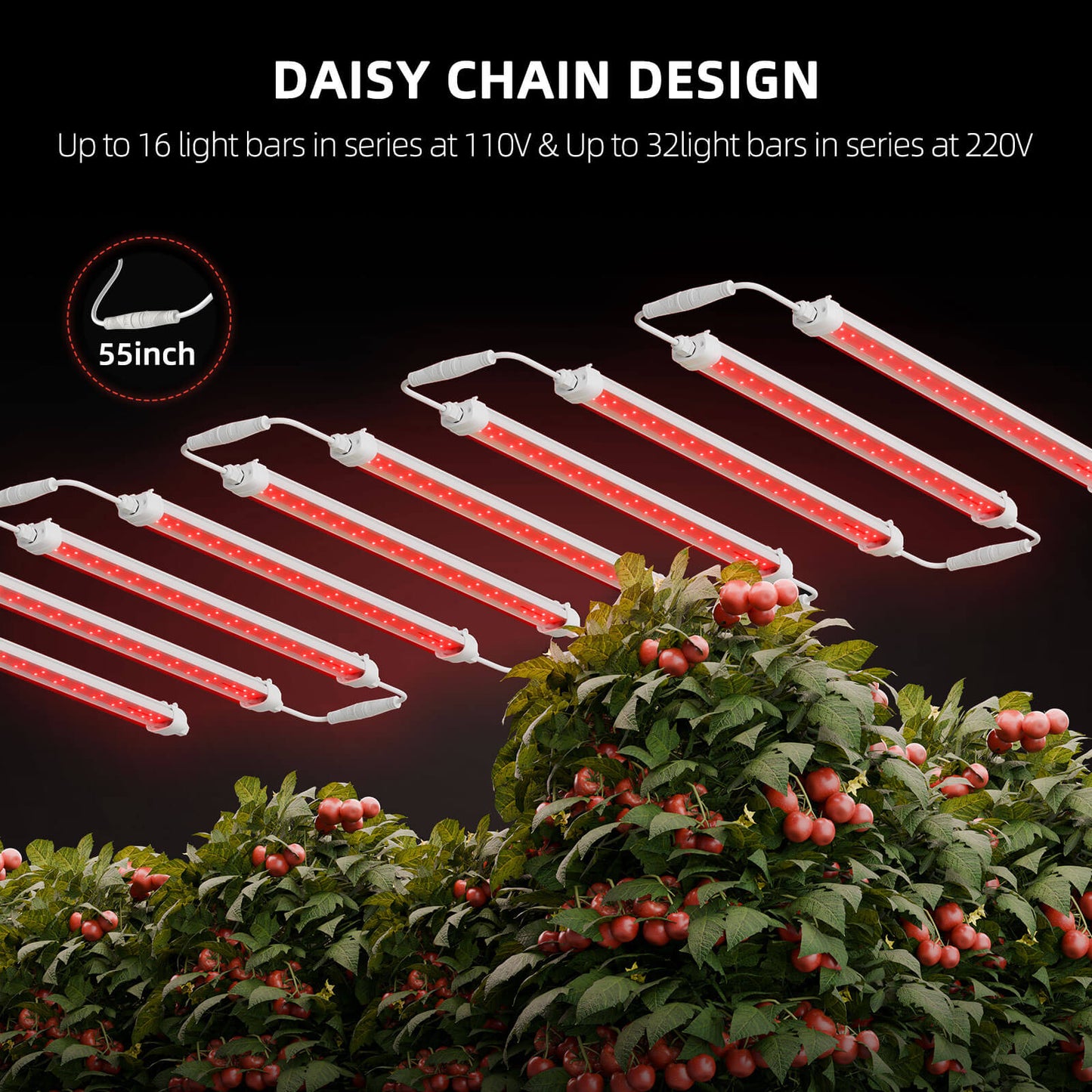 Spider Farmer® GlowR40