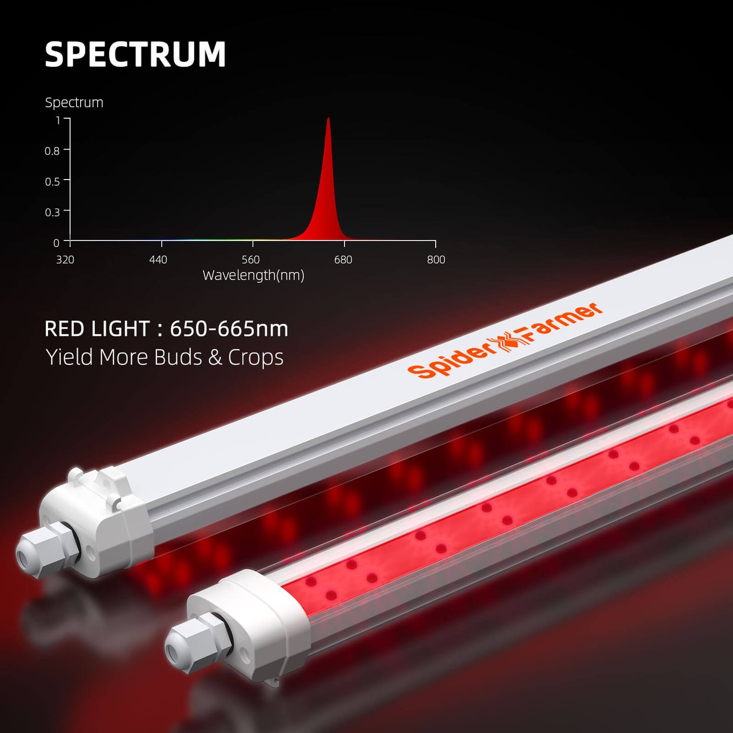 Spider Farmer® GlowR40