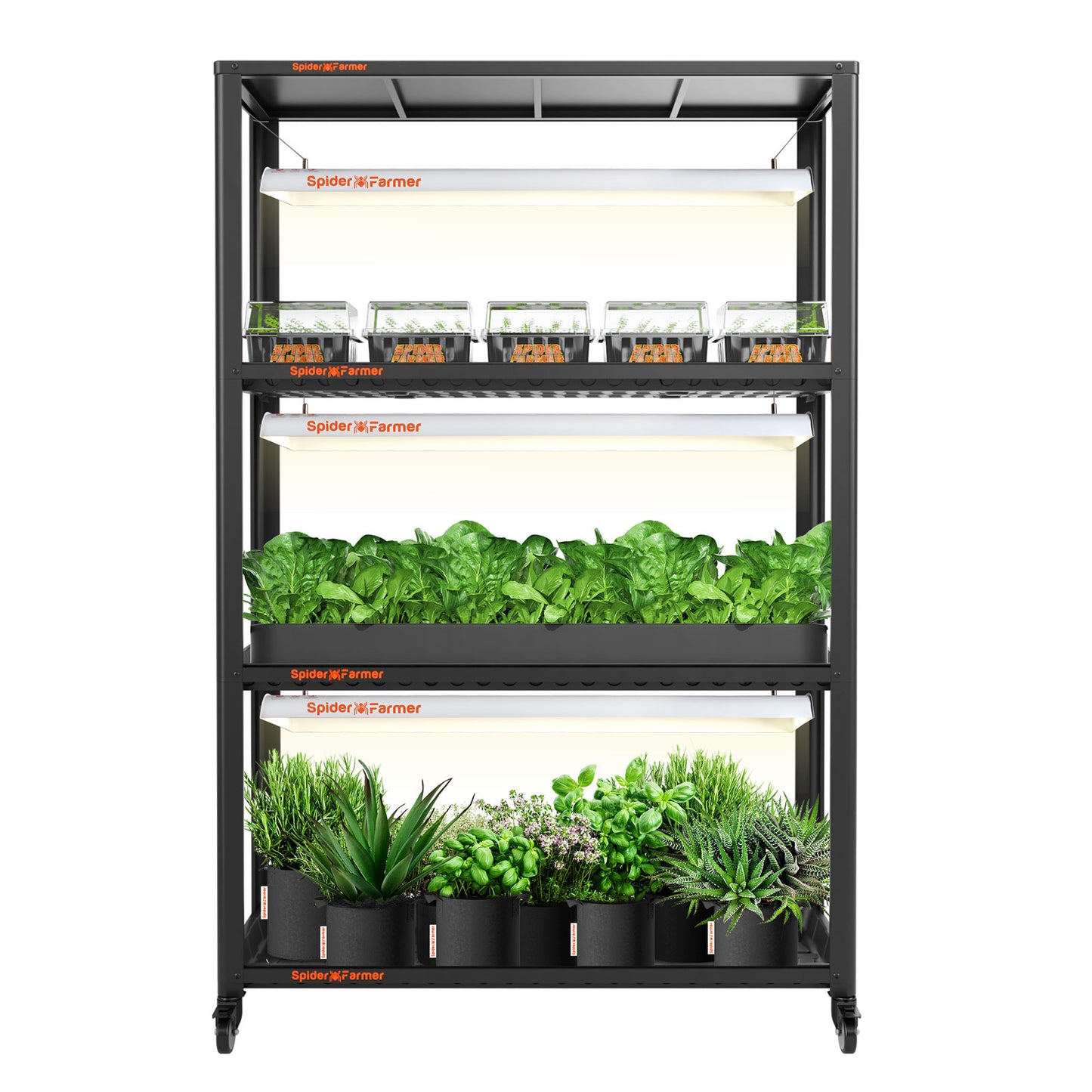 SF600 Growshelves