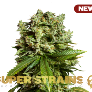 #GG4 GORILLA GLUE