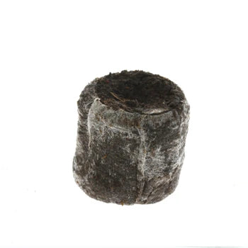 Jiffy Torfquelltöpfe
