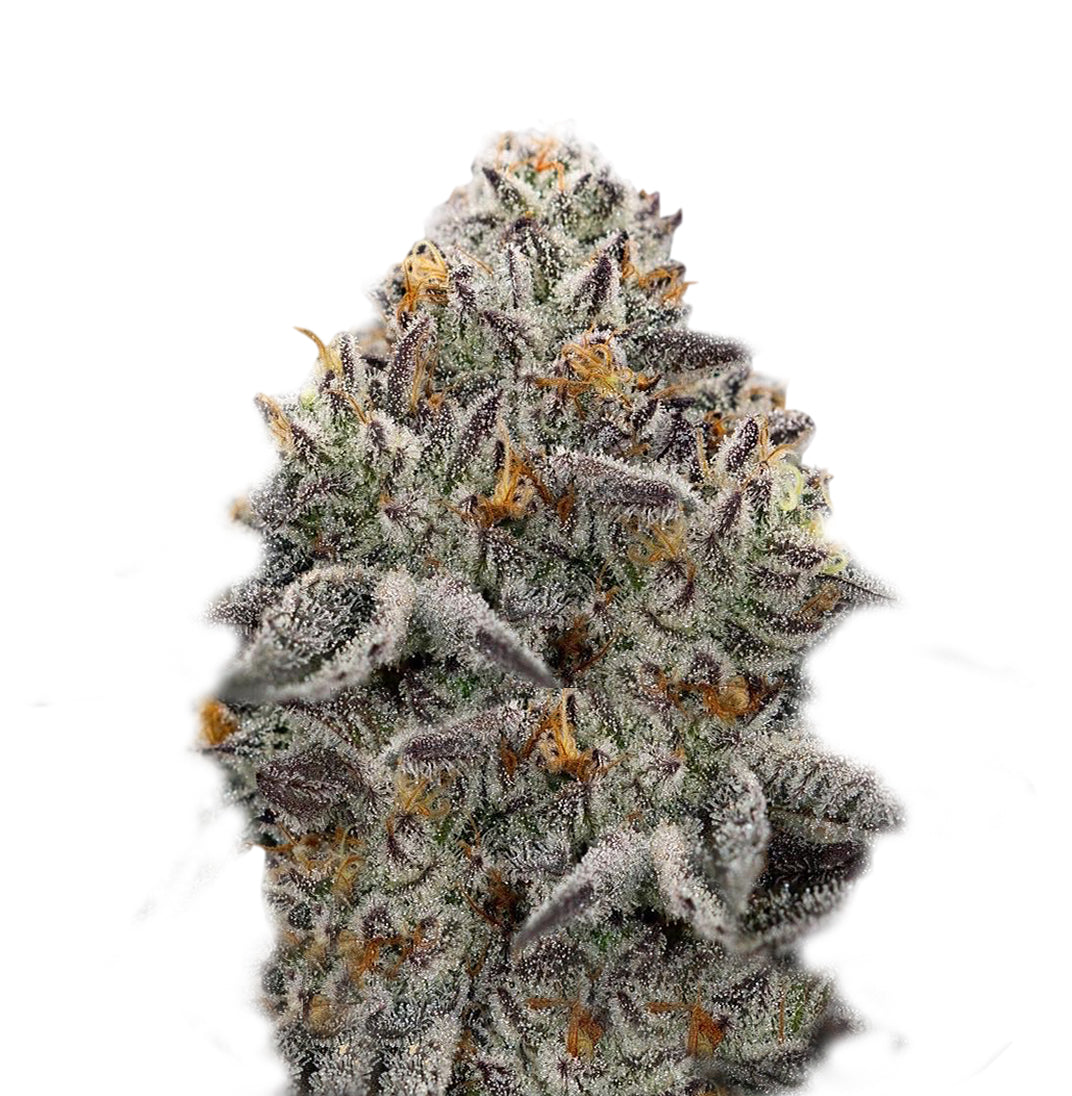 OREOZ