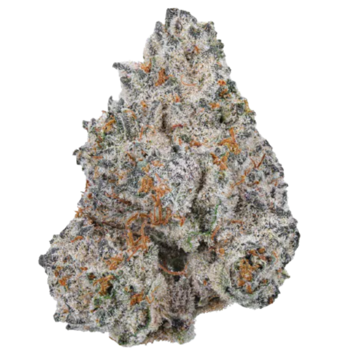 White Truffle Limited Edition